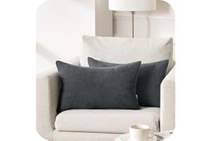Topfinel Juego 2 Fundas Cojines Cama Sofas de Chenilla Algodón Lino Duradero Almohadas Decorativa de Color sólido para Sala de Estar sofás Camas sillas Dormitorio Jardín Coche 40x60cm Gris Oscuro