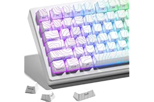 HITIME XVX Shine Through Tastenkappen mit IMD-Technologie, benutzerdefinierte Tastenkappen 60 75 100 Prozent, weißes Tastenkappen-Set OEM-Profil, 118 Tasten, seitlich bedruckt für mechanische Tastatur