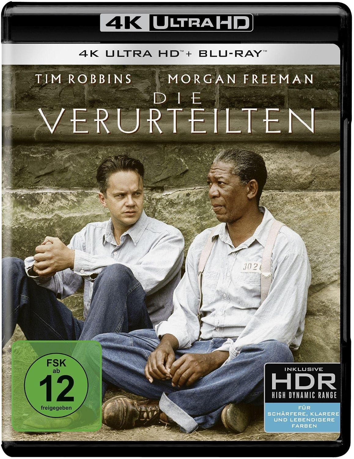Vue 10