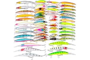 RoseFlower Leurres de Pêche Kit Spinnerbaits,Plastique vers,Minnow,Popper,Crayon en Métal Dur Leurres,Souples Pêche Jigs Crochets de Pêche