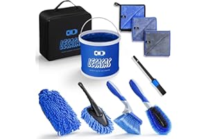 lesasas Car Cleaning Kit with Storage Bag, 9L Foldable Bucket, Detailing Brush Set 9 Pcs, 27cm Short Handle Wheel Brush, Microfiber Wash Mitt, Drying Towel for Dust Remove and Dirty Rim Washing, Blue