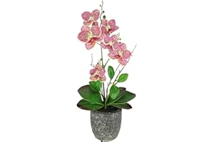 ‎FLAIR FLOWER Kunstblume Schmetterling Orchidee mit Blätter und Luftwurzeln im Topf aus Keramik Künstliche Blume Kunstorchidee Phalaenopsis mit Übertopf Kunstpflanze Hochzeit Deko Seidenblume Real Touch Blüte