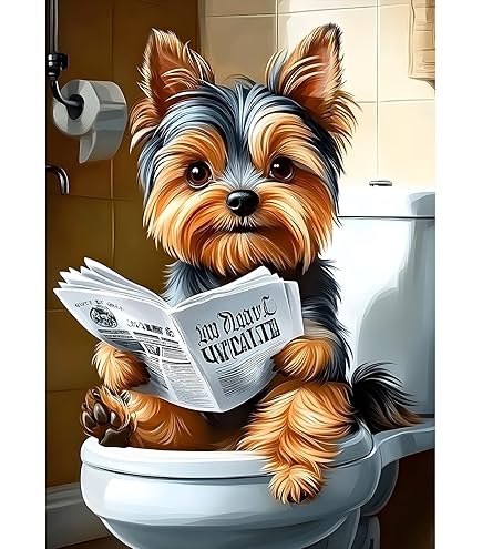 Diamond Painting 5D Diamant Peinture Bateau De Mer Diy Cristal Strass Peinture,Le Coucher Du