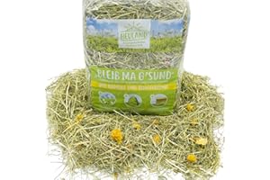 HEULAND® Premium Heu Bleib ma G´sund mit Kamille und Ringelblume Frisches Bergwiesenheu für Kleintiere Kaninchen Kräuter Hamster Streu Meerschweinchen Futter Zwergkaninchen Hasen (500g (10er Pack))