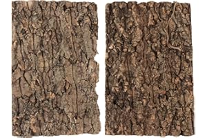 BESPORTBLE 2Pcs Cork Bark Background: Natural Terrarium Decor for Snake, Lizard, Tortoise, Synthetic Bark Reptile Hide and Climbing Platform for Vivarium Landscaping (30x20cm)