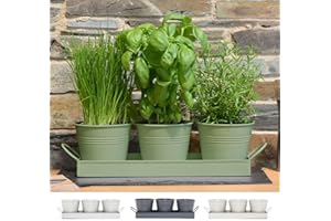CKB LTD Zestaw metalowych doniczek na zioła z tacą ociekową, tradycyjny parapet wewnętrzny, kolorowe pudełko do roślin do kuchni, do uprawy własnych ziół do gotowania, szałwia zielona
