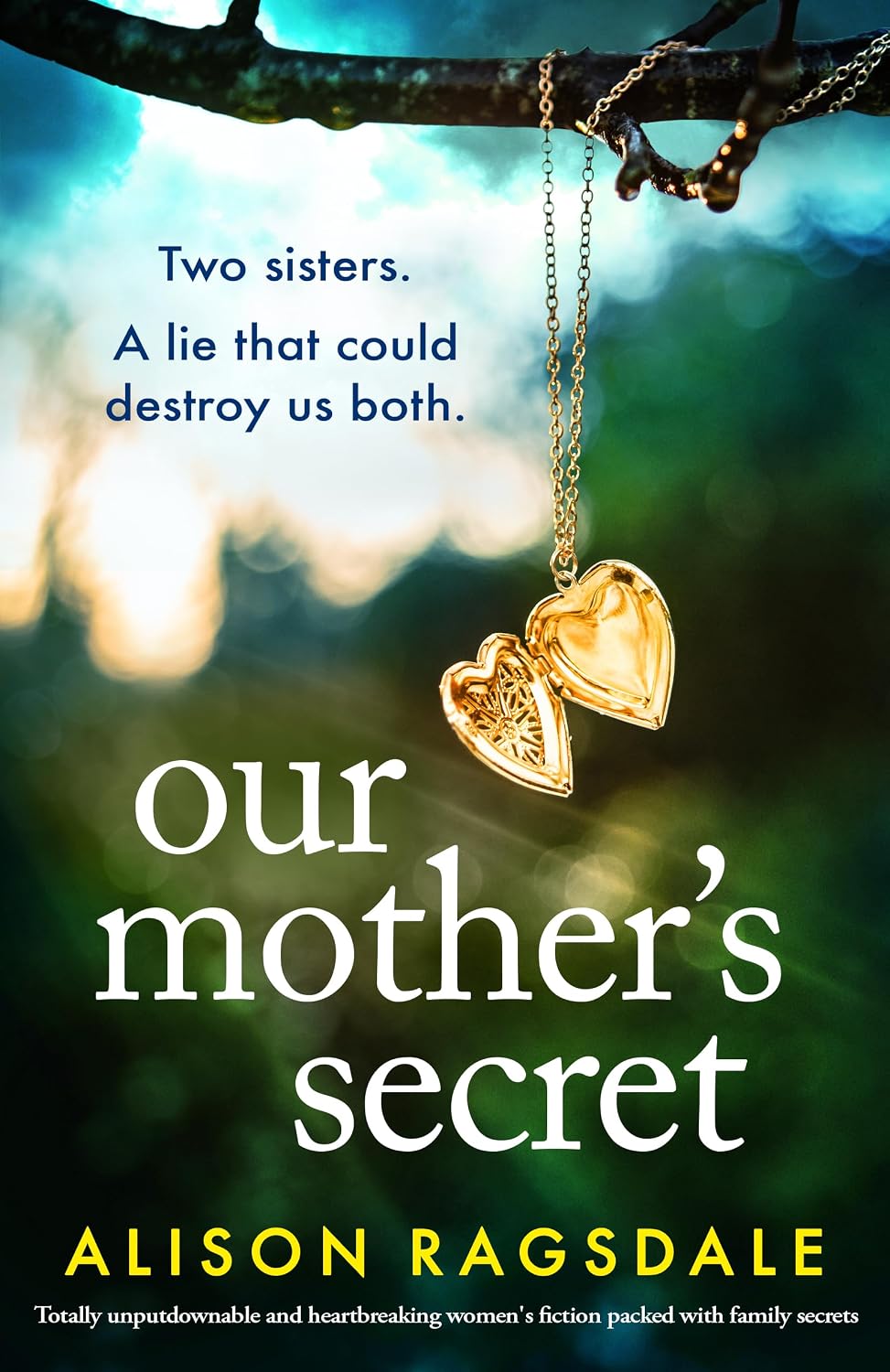 His Other Child: An absolutely heartbreaking and gripping emotional family drama - Détails et caractéristiques