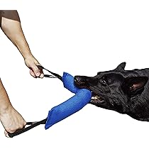 Set Addestramento Cani Da Ricerca Dingo Gear - Articoli In Legno, Pelle, Feltro, Sughero Per IGP - Foto 8