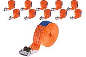 INDUSTRIE PLANET 10 x 250 kg 4 m Correa de amarre con hebilla Cinchas de sujeción con cierre de apriete rápido Portabicici