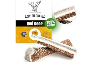 RF - Deer | Natural Deer Antler for Dogs | Long Lasting Chew Treat | Enjoyment and Dental care for your dog | SOFT | 1 pcs | M | 41-70 g | 11-13 cm