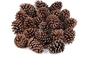 SONGJUM 24 conos de pino naturales grandes de Navidad, conos de pino naturales perfumados para decoración de Navidad, manualidades y decoración del hogar