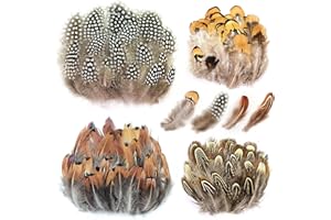 TUXUZAL 200 Stück Fasan Federn für Traumfänger Perlhuhn Feder Basteln Künstliche Federn Dekorationen Schwarz Braun Federn Deko Bastelfeder Natürlich Feder Kleine Vogelfeder Schmuckstücke für Partymasken