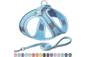 AIITLE Pettorina e guinzaglio per cani - Pettorine anti-tiro e anti-fuga con fasce riflettenti, imbracature regolabili per animali domestici all'aperto per cani di piccola e media taglia Blu puro M