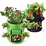 Kartoffel Pflanzsack Erdbeeren Pflanzen Tasche 40L/10 Gallonen Pflanzbeutel Groß mit Griffen und Seitliche Wachstumstaschen, 