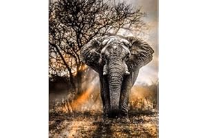 DOES NOT APPLY Kits de peinture diamant 5D Full Drill, éléphant Cristal Strass Diamant Broderie Images Art Bricolage Art Matériel de bricolage pour adultes, enfants, maison, décoration murale - 30 x 40 cm