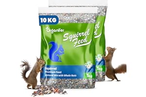 Nourriture pour Écureuils – Mélange avec des Noix Entières (10 Kg) Riche en Protéines, Matières Grasses Et Fibres - sans Pesticides - pour Mangeoires À Oiseaux - pour Toutes Les Saisons - Organifer