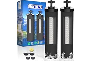 BAYTIZ | Cartouche pour Purificateur d'Eau à Gravité + UF Compatible Berkey - Cartouches au Charbon Actif pour Filtre à Eau Survie Fontaine a eau Filtrante Filtres Distributeur Pluie Camping Robinet
