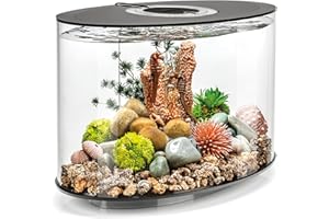 Acuario biOrb LOOP 15 LED, 15 litros - juego de acuario completo con sistema de filtro patentado, tanque acrílico