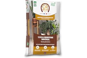 Or Brun Terreau Rempotage Universel - 6L - pour Toutes Les Plantes en Pots - Améliore la Croissance OBRTREM6U