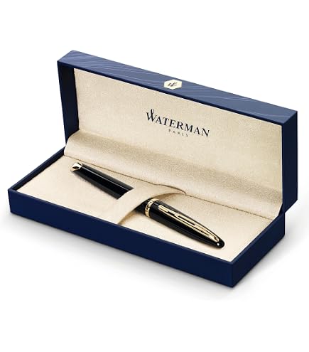Waterman SE25 Expert Deluxe Siyah GT Dolma Kalem, M uç : Amazon