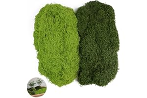 Hexizexi 200g Künstliches Moos Dunkelgrün und Hellgrün Kunstmoos zum Dekorieren Kunstmoos zum Basteln Fake Moos Geeignet für Wand Hochzeit Festtagsdekorationen DIY Modellbau