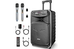 GEYGUY Cassa bluetooth PA portatile potente con 2 microfono, Altoparlante karaoke woofer 12", Registrazione USB/TWS/FM/TV GTSK12-2