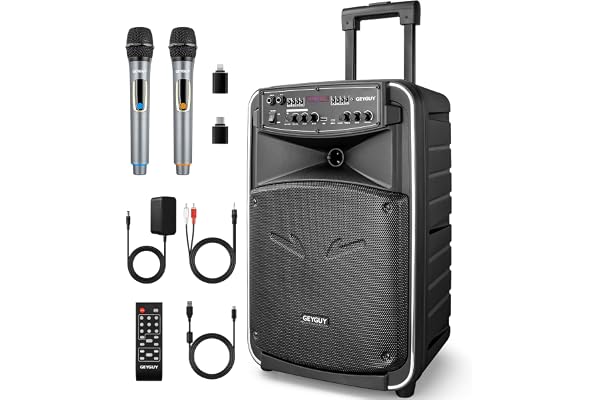 Enceinte Sono Bluetooth Portable Puissante avec 2 Microphones sans Fil pour Adulte, Karaoké Professionnel Complet 12 Pouces, Haut-Parleur Support Enregistrements USB-C/TWS/FM/AUX in/TV GTSK12-2