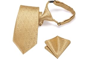 Hi-Tie Silk Boys Tie Set 8-11 Pre-Tied Ties for Boy Blue Red Green Kid Necktie and Pocket Square Set for Wedding