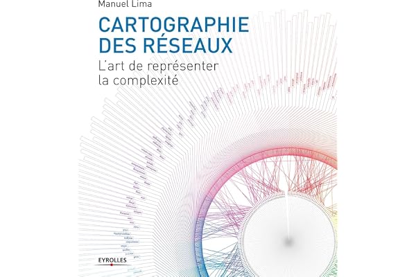 Cartographie des réseaux: L'art de représenter la complexité.
