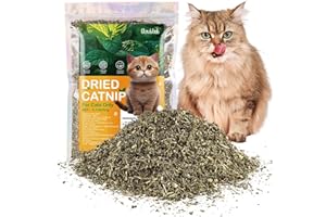 GLAUBLIEB Herbe à Chat Séchée, 50g Menthe a Chat Naturelle de Haute Qualité, Utilisée Comme Collation ou Remplissage Jouet pour Chat, Délicatement Séchée et Scellée et Emballée pour Une Conservation Facile