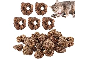 Cerioll Owoce jako zabawka dla kotów, 20 sztuk owoców Matatabi zabawka dla kota, zabawka z owoców dla kotów, czyszczenie zębów dentalna jadalna zabawka dla kociąt czyszczenie zębów kotów