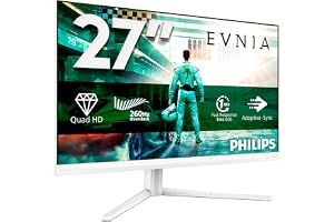 27" 2560 x 1440 240 HZ REG ALT SPEL