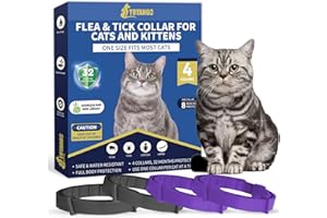 YOTANGO Collare Antiparassitario per Gatti, 4 Pezzi Naturale Collare Antipulci Gatto, Impermeabile Collare Antipulci e Zecche per Gatti, 32 Mesi di Protezione Antipulci per Tutti i Gatti(Nero&Viola)