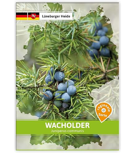 Kriechender Wacholder 40-50cm - Juniperus communis - lebende Gartenpflanze  aus den Baumschulen : Amazon.de: Garten