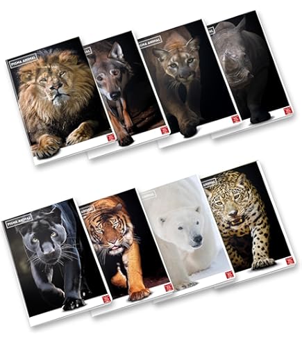 Goniometro 360° Arda - Per Disegno Tecnico E Geometria - Precisione - Foto 4