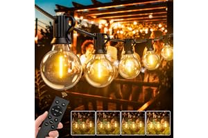 LUCUHM 30M 100FT Festoon Lights Outdoor with Remote – LED Garden String Festoon Lights Mains Powered – Dimmable Garden Light 