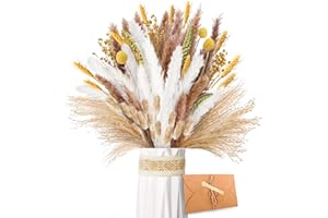 ZJTAPE Herbe de Pampa séchée – Décoration de Fleurs séchées Naturelles, Fleurs séchées moelleuses, Bouquet de Fleurs séchées pour Table de Mariage, vases de Salon, décoration d'intérieur bohème