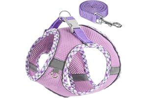 QYJINLIDA Dog Harness and Leash Set,Step-in Air Dog Vest, Reflective, No Pull Collarsfor Small, Medium Dogs, Cats - Secure with Hook & Loop Fastener, Buckle, Double D-Ring
