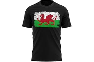 Purple Print House Wales Rugby Flag T Shirt, Cymru Gifts for Rugby Fan, Welsh Shirts for Men