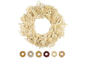 ‎HOLIKI PHILARO Trockenblumenkranz Beige Ø 30cm - kein Plastik I Trockenblumen Premium Qualität aus Europa I Trockenblumen Kranz für Haustür, Wand und Tisch