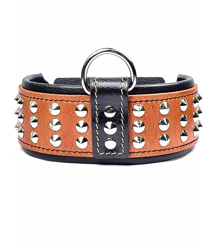 Bestia Dog Sport Halsband Mit Schnellverschluss – Ultra-robust, Gepolstert & Waschbar Für Große Hunde