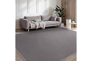 BEIMO Washable Rugs Living Room 160X220CM, Grey Area Rugs for Bedroom Non Sheeding, Large Anti Slip Low Pile Carpet Modern Fluffy Shaggy Rug for Dining Room, Kids Bedroom