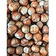 Superpet Hazelnuts In Shells For Wild Birds And Squirrels (1Kg)