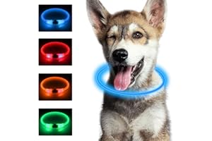 SONNIG LED Collier Lumineux Chien, Collier Chien Lumineux Rechargeable et Réglable avec 3 Modes D'éclairage, sans Danger pour Les Chiens de Petite, Moyenne et Grande Taille la Nuit, Bleu