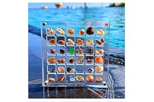 DONGTATA Caja de exhibición magnética de acrílico para joyas, mini conchas marinas, caja de almacenamiento magnética, apilable, pequeños organizadores de manualidades y caja de exhibición para cuentas