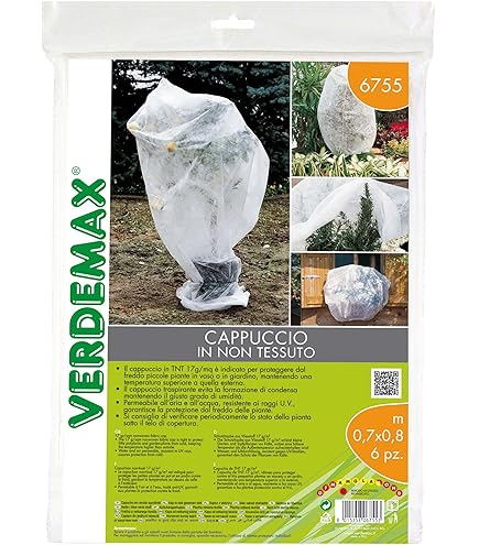 Guide Pratique Pour Le Potager D'hiver : Quels Légumes Cultiver