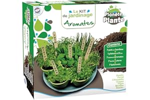 PLANETE PLANTE - 7 vasi biodegradabili e semi aromatici da piantare su un vassoio - Kit da giardinaggio - 170032 - Bambù - Giardino - Natura - Pianta - Fiori - Gioco per bambini - A partire dai 4 anni