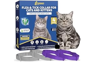 YOTANGO Collare Antiparassitario per Gatti, 4 Pezzi Naturale Collare Antipulci Gatto, Impermeabile Collare Antipulci e Zecche per Gatti, 32 Mesi di Protezione Antipulci per Tutti i Gatti(Grigio&Viola)
