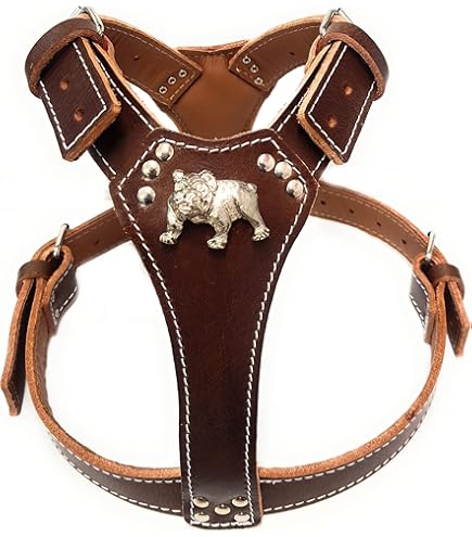 Staffordshire Bull Terrier In Limerick - IKC Registered - Dogs For Sale - Foto 9