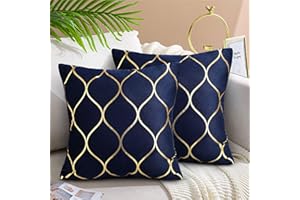 Hanrunsi Navy Blue Cushions Cover Dark Blue with Gold Pillow Covers 16 x 16 Velvet Square Decorative Cushions Set of 2 for Living Room Sofa Chairs